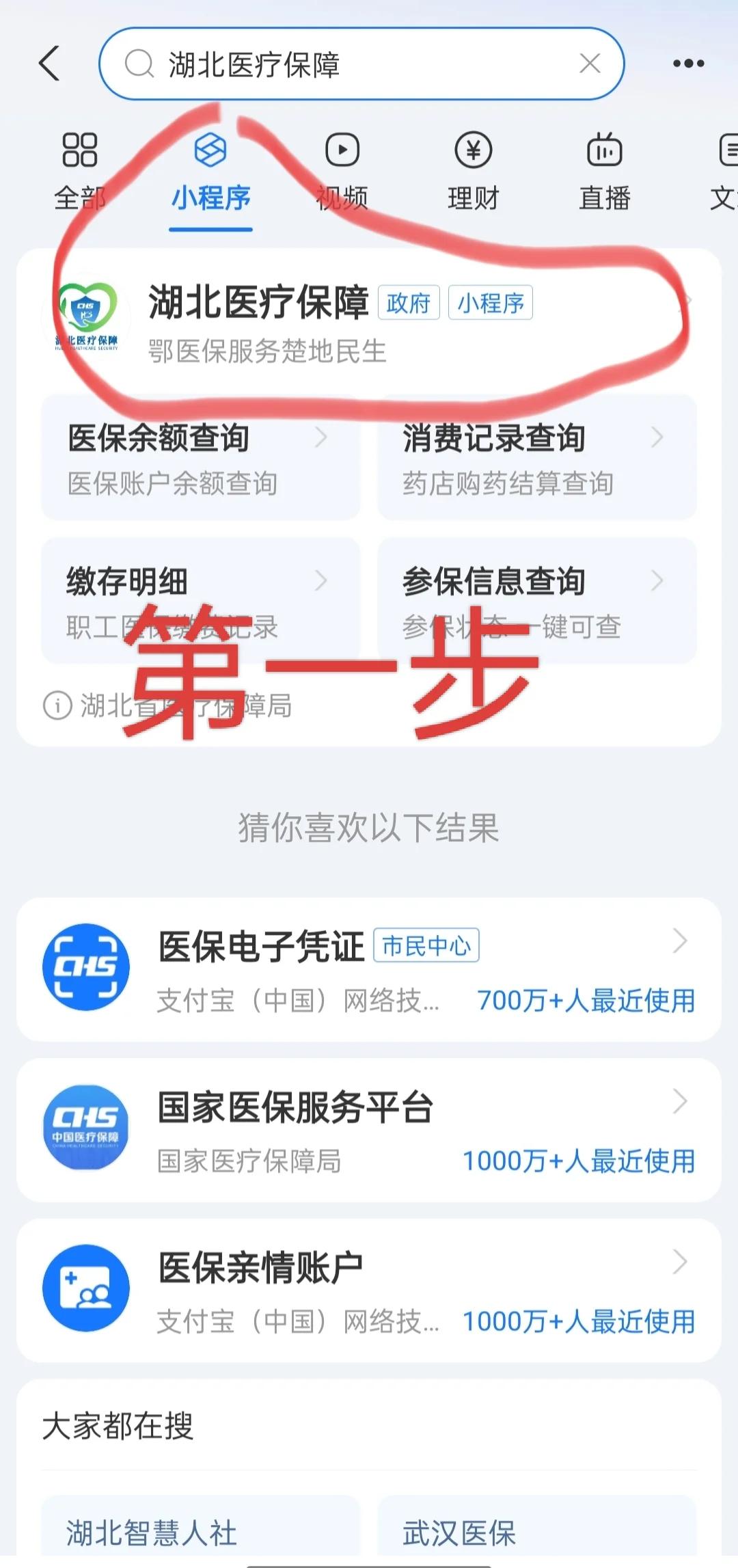 秦皇岛医保网上怎么缴费(孩子居民医保网上怎么缴费)